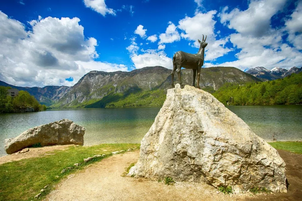 Bohinj dagstur
