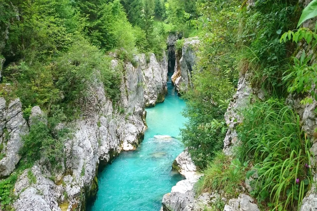 Rivière Emerald Soča