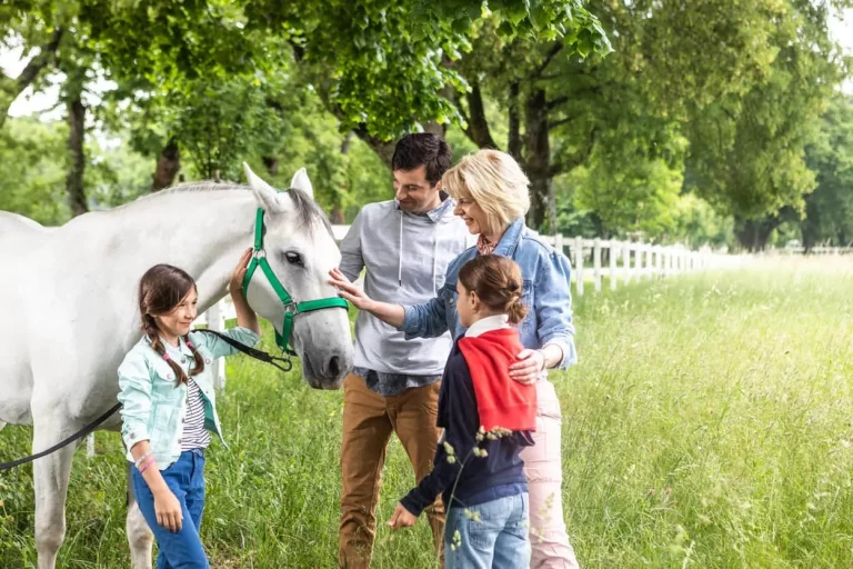Familie met lippizaner paard