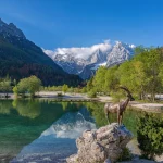 Jasna-meer in Kranjska gora