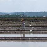 Salt Pans Sečovlje