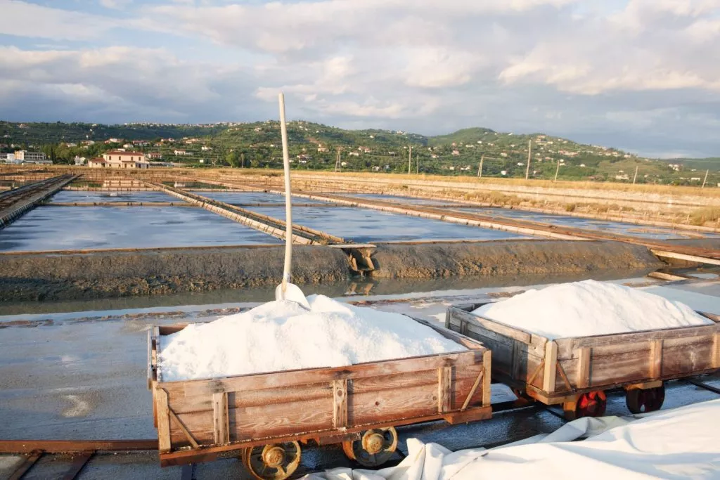 Salt pans Secovlje Slovenia scaled