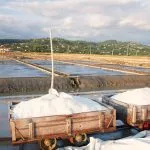 Salt pans Secovlje Slovenia scaled