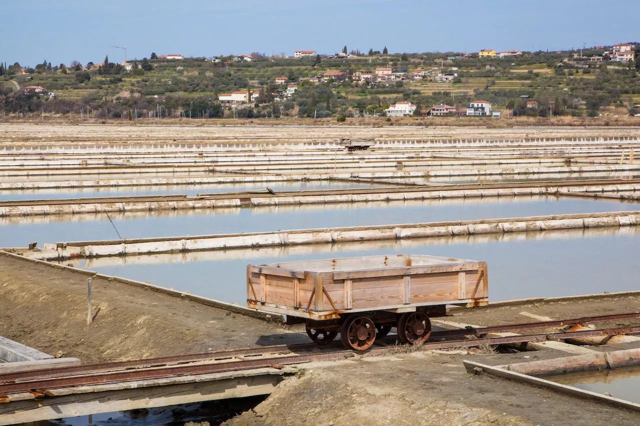 Saline di Secovlje