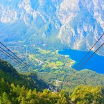 Vogel Bohinj