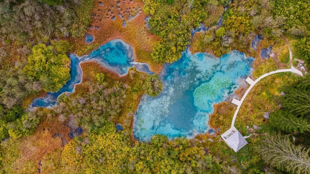 Zelenci from above