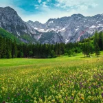 La nature dans la vallée de Logar
