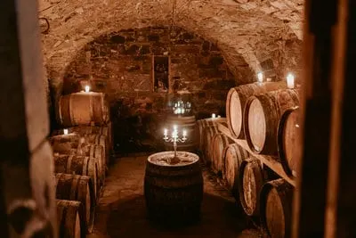 wine tour cellar at goriska brda vipava istra kras